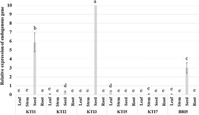 Overexpression of soybean trypsin inhibitor genes decreases defoliation by corn earworm (Helicoverpa zea) in soybean (Glycine max) and Arabidopsis thaliana